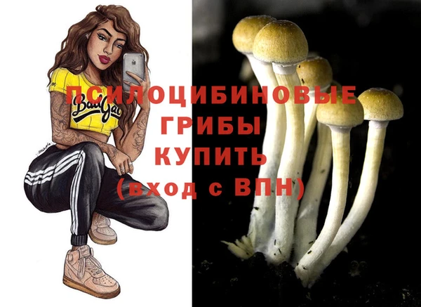 бутират Абаза