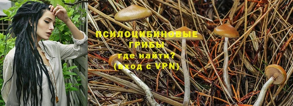 бутират Абаза