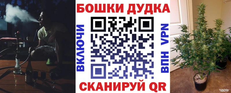Бошки Шишки сатива  купить наркотики сайты  Тотьма 